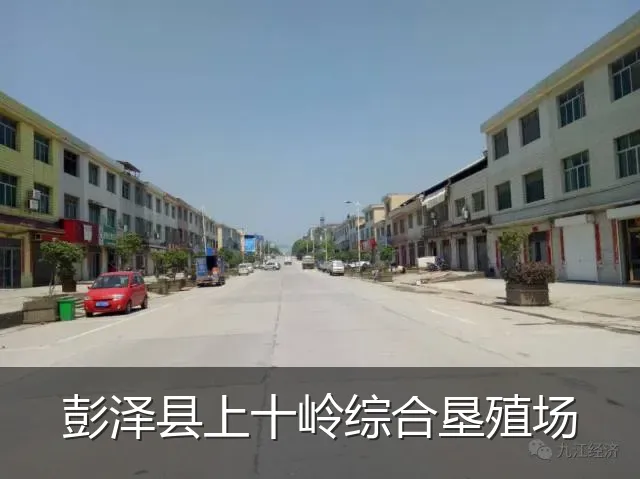 彭泽县上十岭综合垦殖场