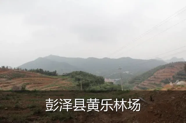 彭泽县黄乐林场